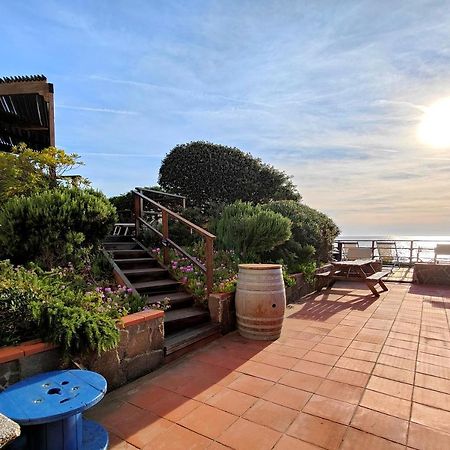 Le Dune Sea View Apartments - Futura Cav San Vincenzo Bagian luar foto
